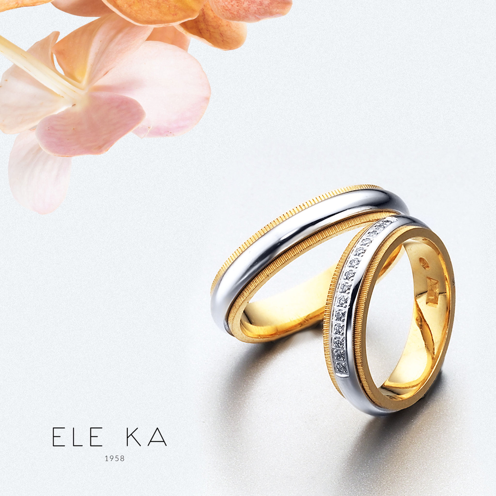 Colección moderna ELE KA