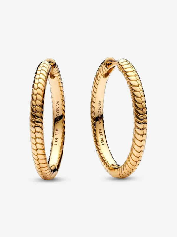 Producto Pendientes de Aro Pandora Moments Imagen